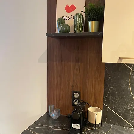 Διαμέρισμα Au Coeur Du Centre De Καρκασόν