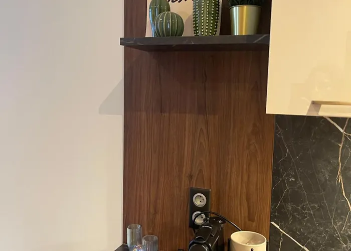 Lejlighed Au Coeur Du Centre De Carcassonne